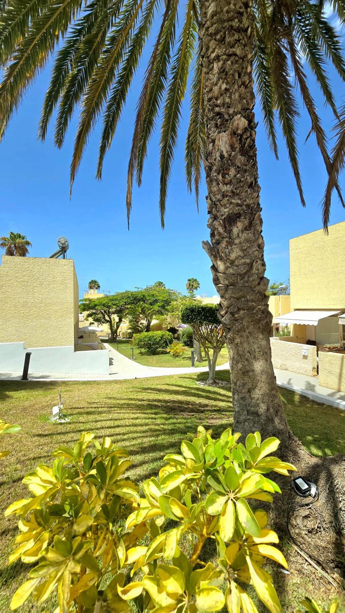 Dream Holiday Las Americas Playa de las Américas Exterior foto